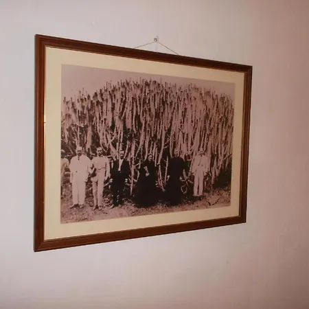 In Guest - Casa El Cardon B1 Buenavista Del Norte